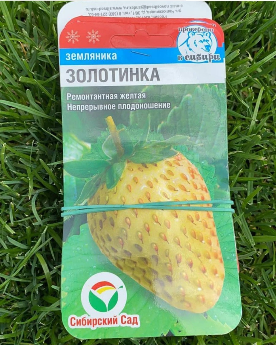 Семена Земляника золотинка ТМ сибирский сад  - 255 large popup