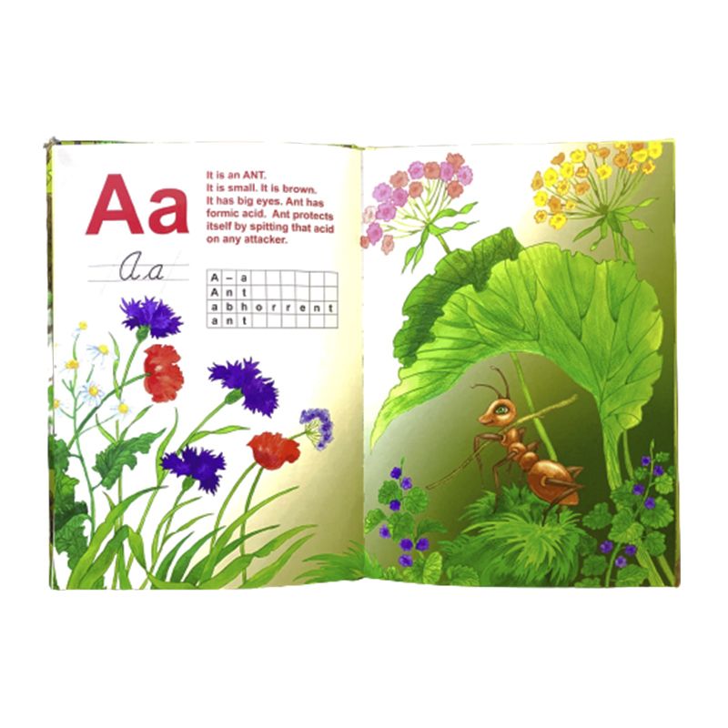 3D Англійська Жива абетка ABC book з доповненою реальністю thumbnail popup