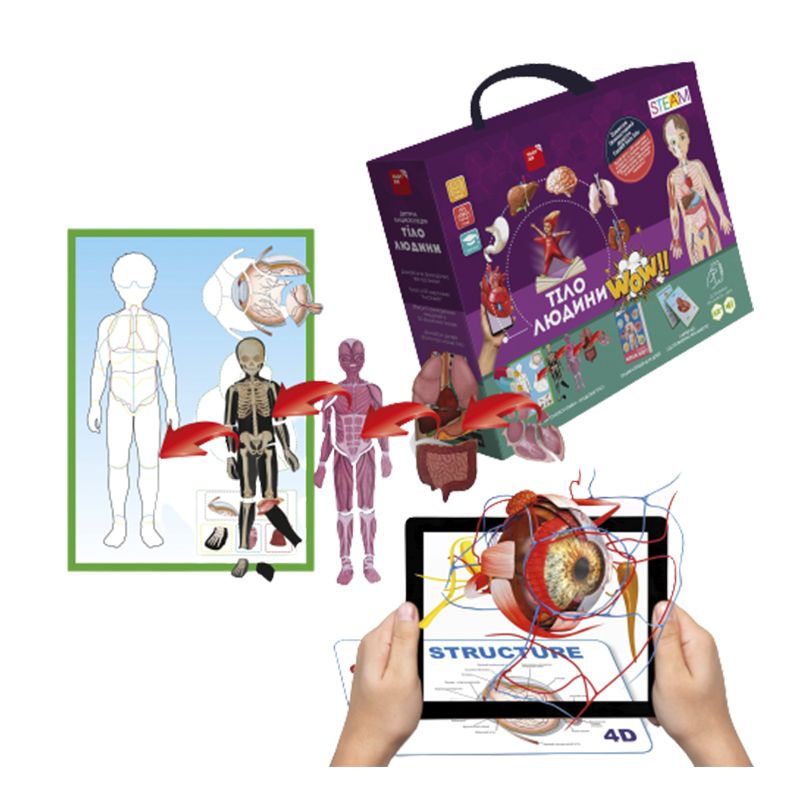 4D Розвиваюча гра для дітей про анатомію 'Тіло людини' оживає за допомогою доповненої реальності thumbnail popup