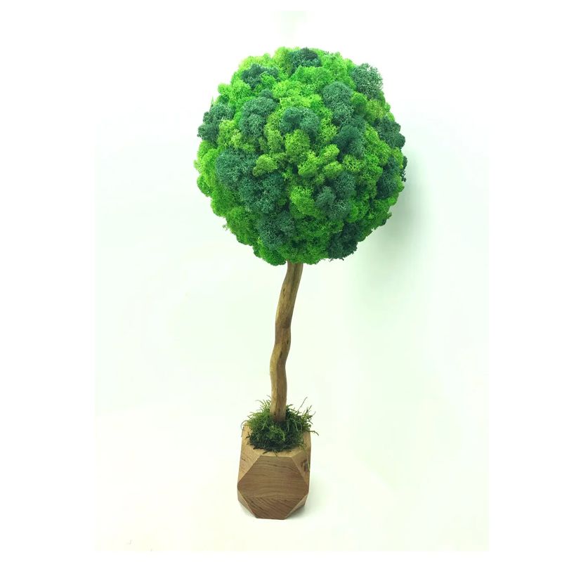 Дерево з стабілізованого моху SO Green в горщику з дерева, двохкольорове, 55см, діаметр 25см(00650) thumbnail popup