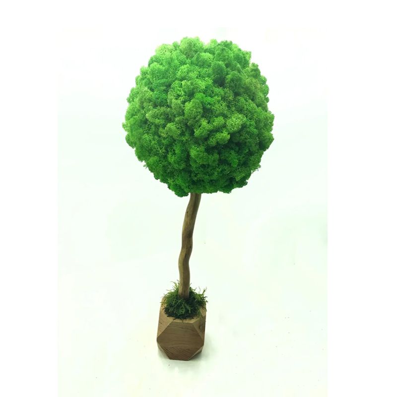 Дерево з стабілізованого моху SO Green в горщику з дерева, світло-зелене, 35см, діаметр 20см(006379) thumbnail popup