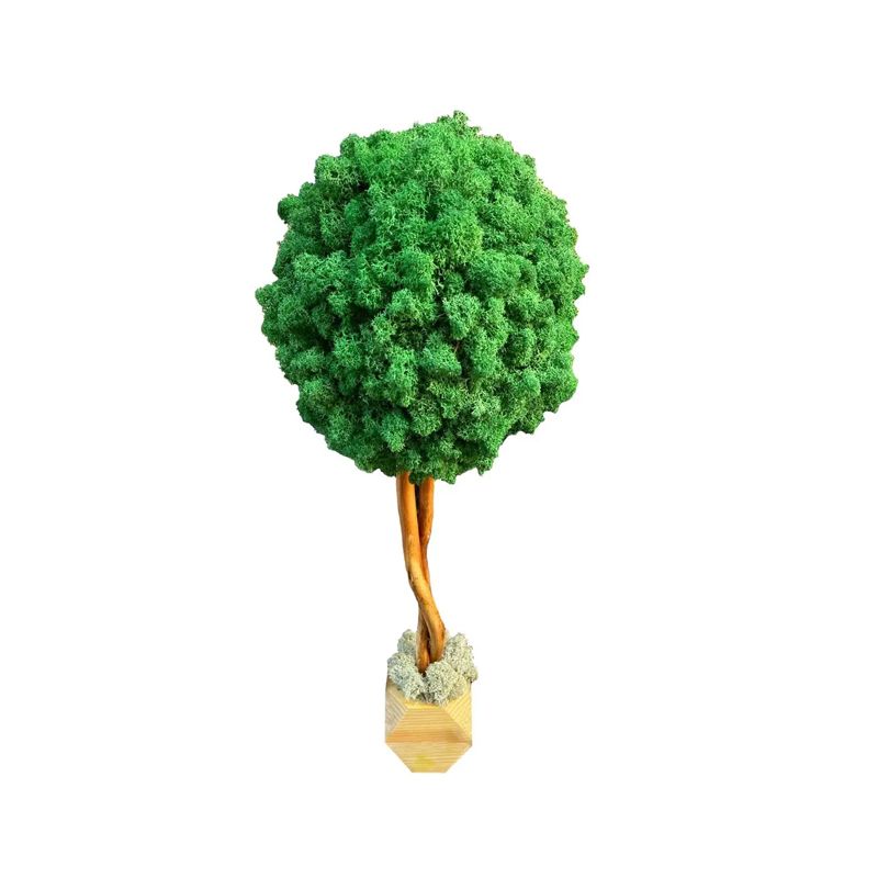 Дерево з стабілізованого моху SO Green в горщику з дерева, темно-зелене, 35см, діаметр 20см (006378) thumbnail popup