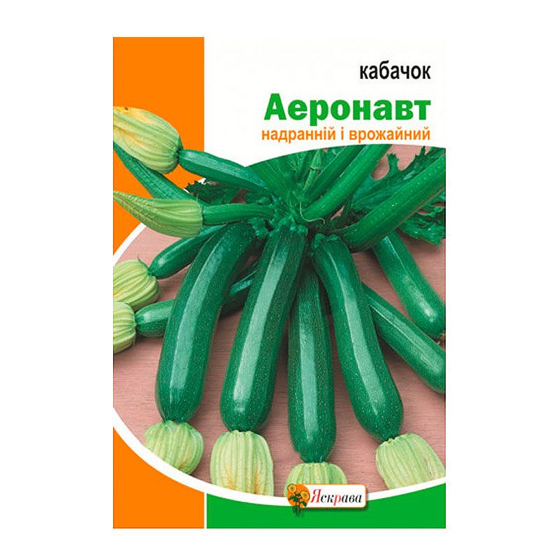 Кабачок аэронавт описание сорта. Цуккини Аэронавт. Кабачок Аэронавт. Кабачок Аэронавт описание. Кабачок Аэронавт фото.