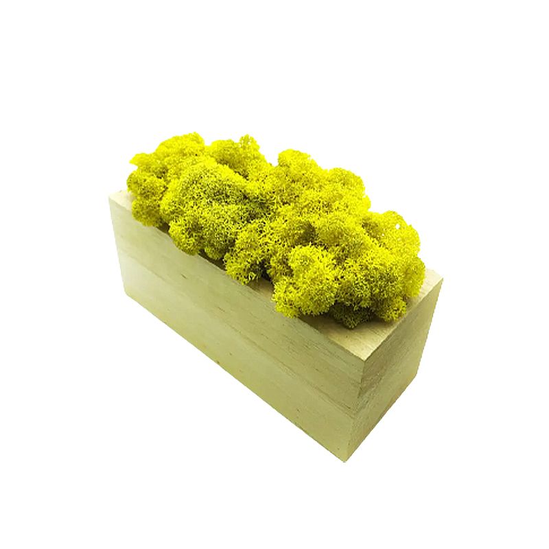 Стабілізований мох SO Green Соу Грін в горщику з дерева, жовтий, 20см х 8см thumbnail popup