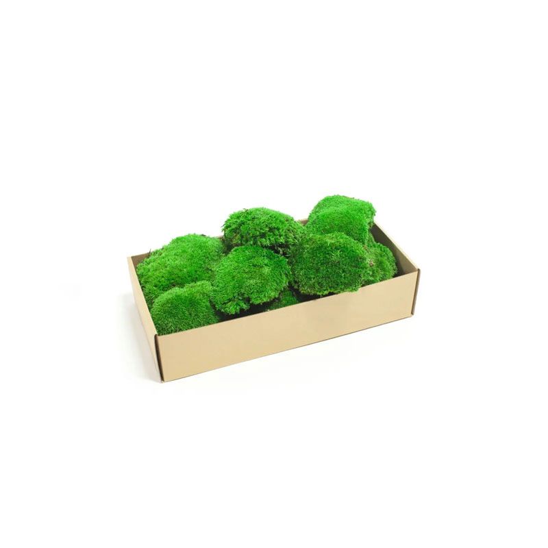 Мох SO Green, стабілізований, кочковий, вищої якості на сольовій основі, 1кв.м. (00091) thumbnail popup