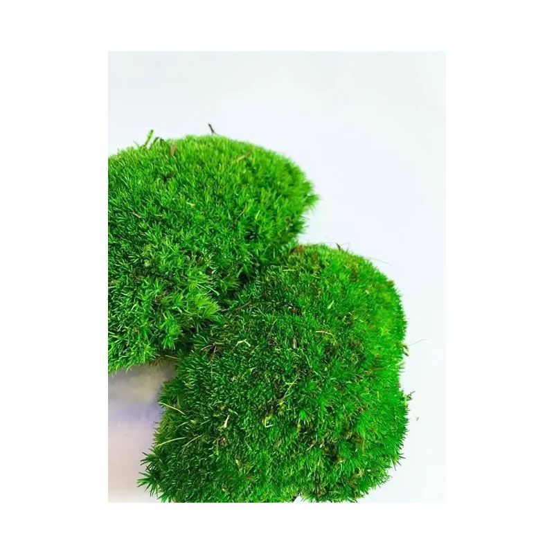 Мох SO Green, стабілізований, кочковий, вищої якості на сольовій основі, 1кв.м. (00091) thumbnail popup