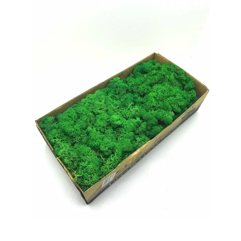 Мох SO Green, стабілізований, норвезький, вищої якості, не очищений, темно-зелений (№78)(00078) thumbnail popup