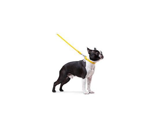 Повідок WAUDOG  Glamour для собак, шкіряний, д 8 мм., жовтий (33778) - 8494 thumbnail popup
