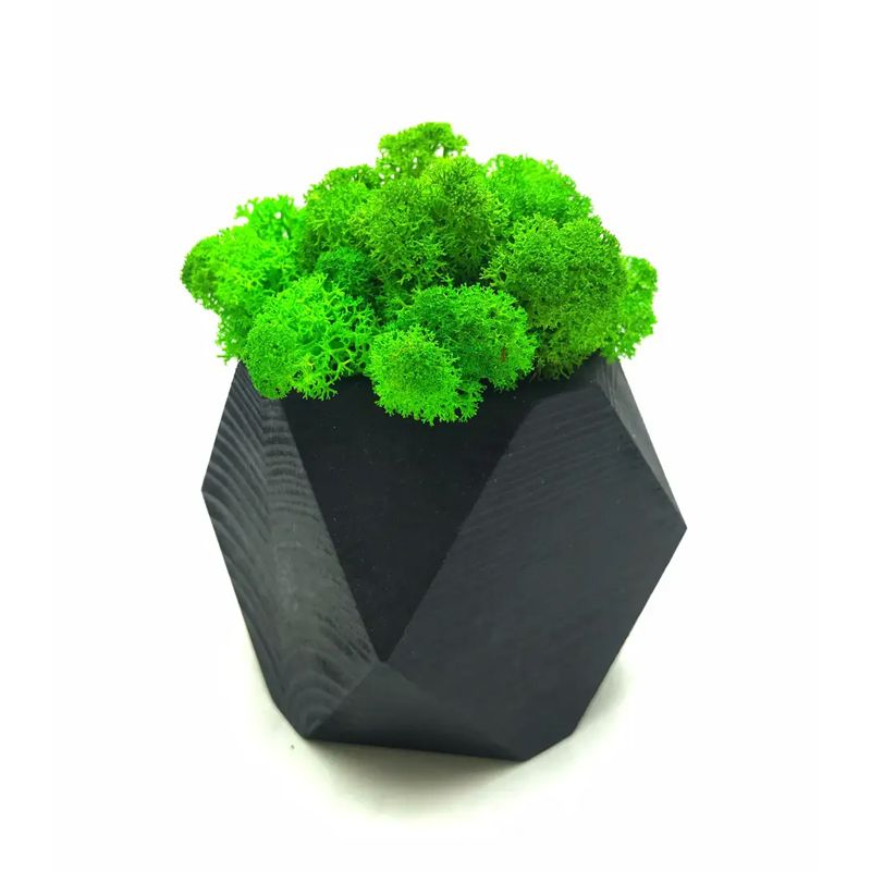 Стабілізований мох SO Green в чорному горщику з дерева, шестигранник, салатовий, 8см х 8см (002212) thumbnail popup