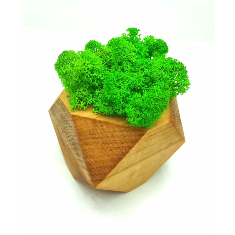 Стабілізований мох SO Green в горщику з дерева, шестигранник, салатовий, 8см х 8см (002279) thumbnail popup