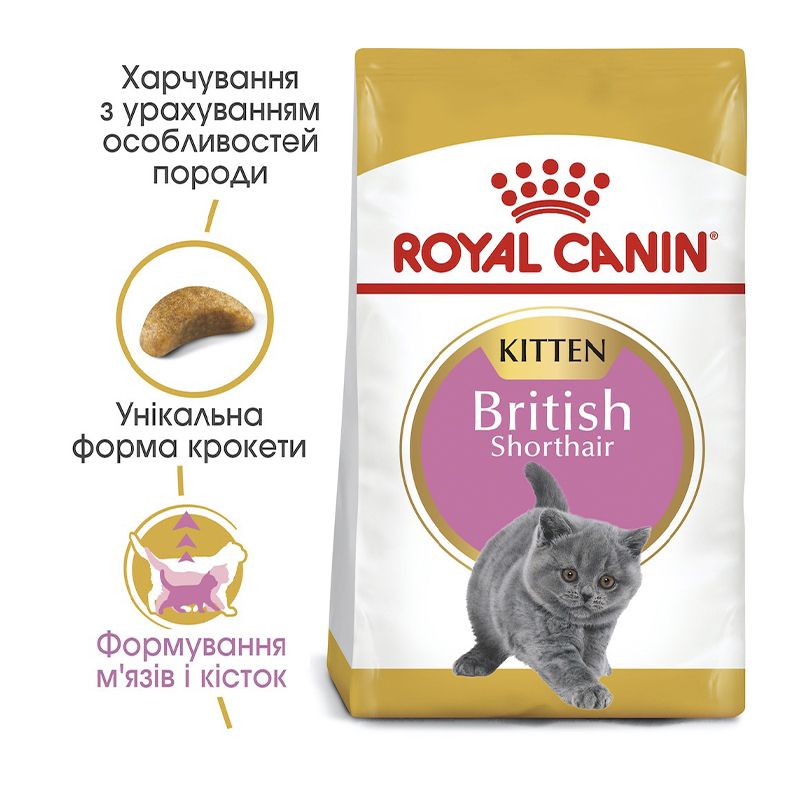 Сухий корм для кошенят породи британська короткошерста Royal Canin Kitten British Shorthair 400 г thumbnail popup
