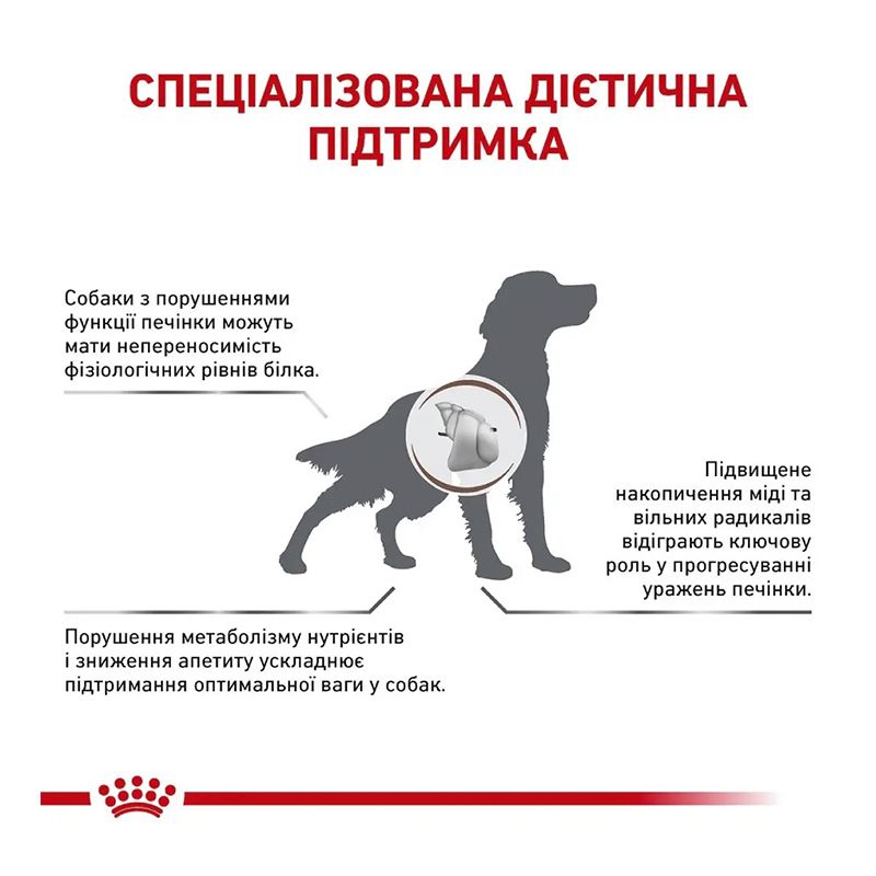 Сухий корм для собак, при захворюваннях печінки Royal Canin Hepatic 1,5 кг thumbnail popup