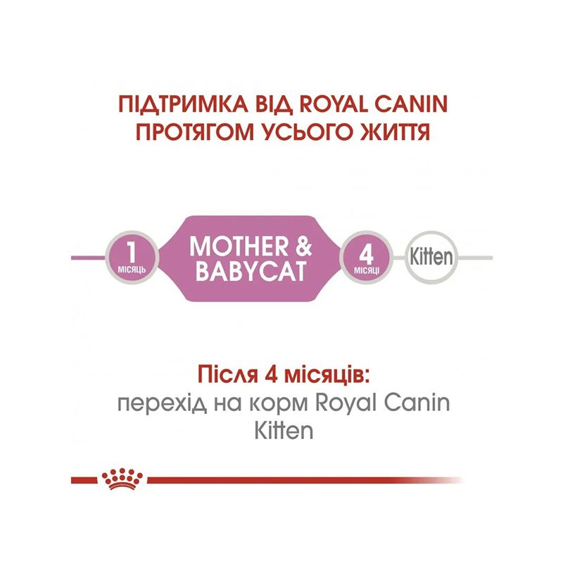 Вологий корм для кошенят Royal Canin Mother & Babycat 195 г thumbnail popup