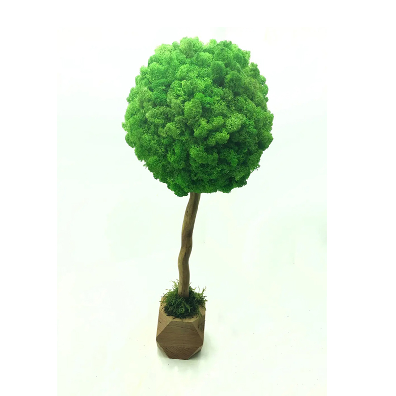 Дерево з стабілізованого моху SO Green в горщику з дерева, світло-зелене, 35см, діаметр 20см(006379) large popup