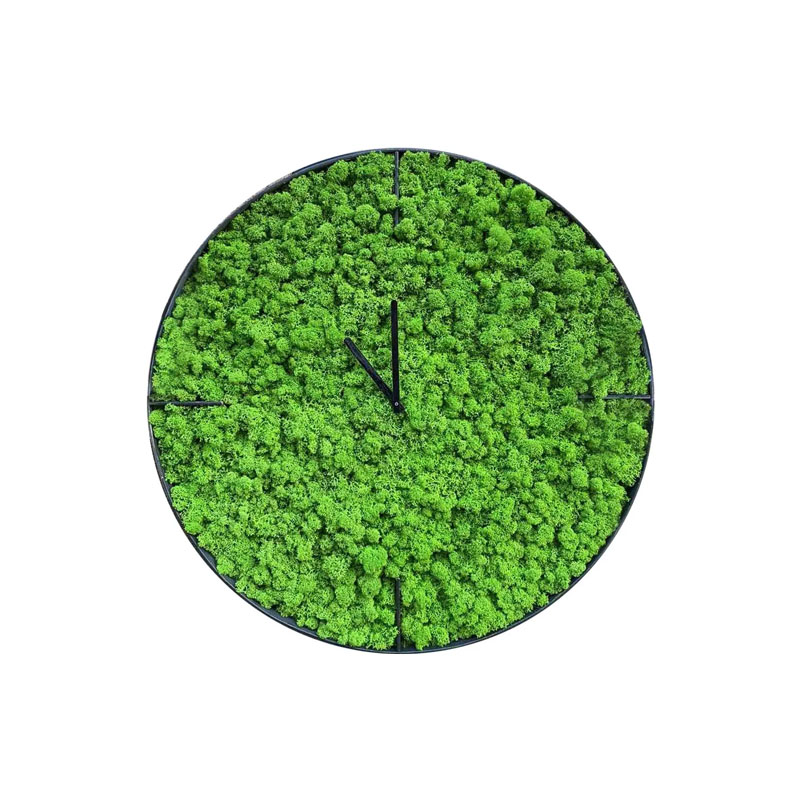 Годинник зі стабілізованим мохом SO Green, у металевому корпусі, діаметр 40см (00724) thumbnail popup