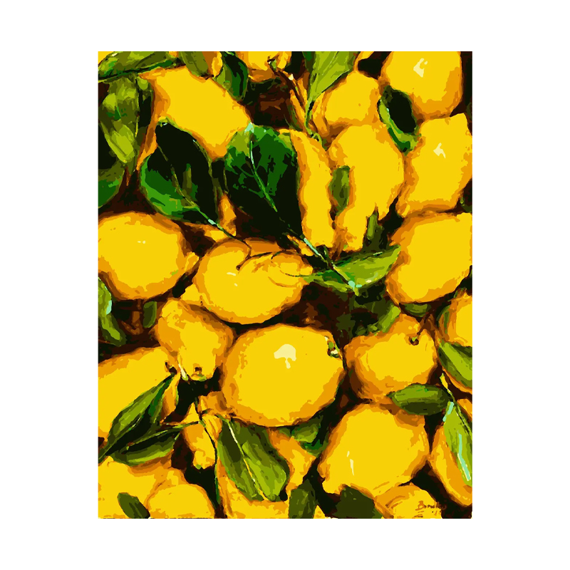 Картина за номерами 'Соковиті лимони' 40*50 см large popup