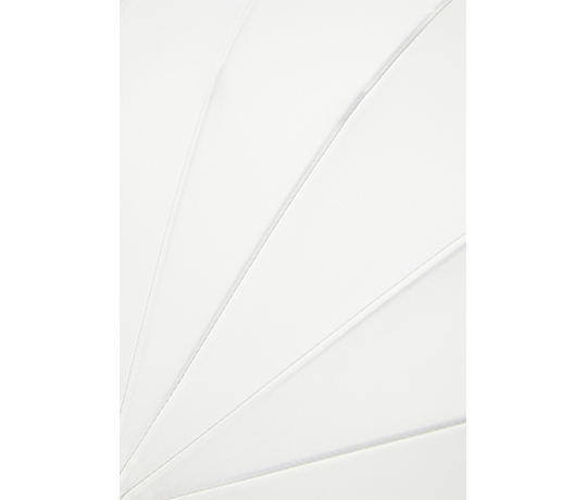Парасолька тростина Krago з прямою дерев'яною ручкою, 16 спиць, біла (6641) - 11369 large popup