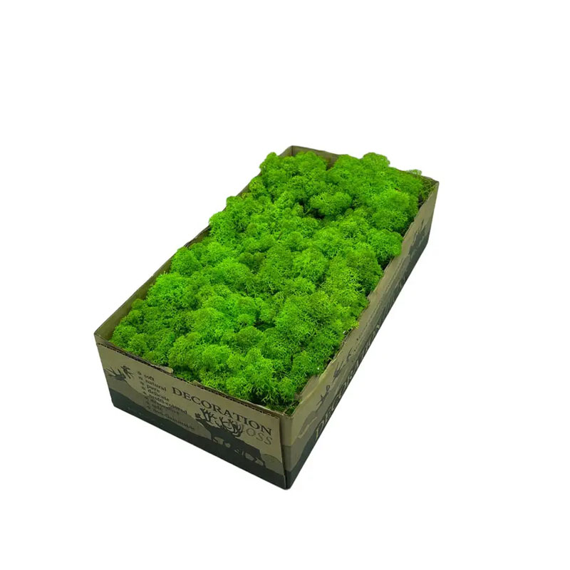Мох SO Green, стабілізований, норвезький, вищої якості, не очищений, колір салатовий (№79)(00079) large popup