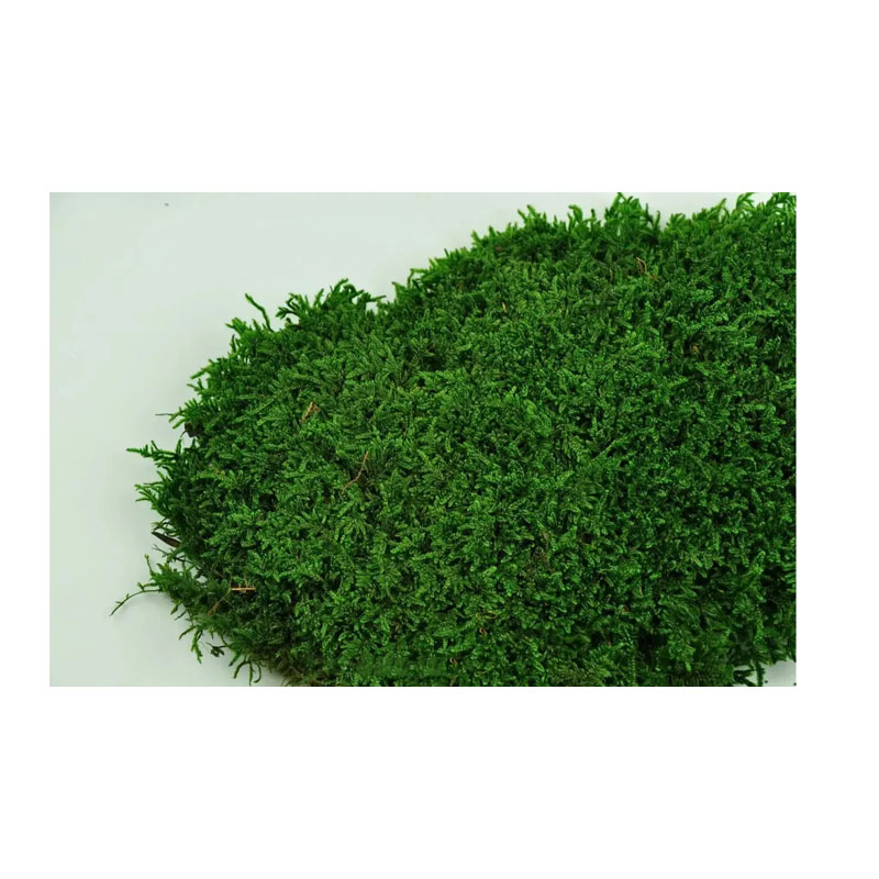 Мох SO Green, стабілізований, плоский, вищої якості на сольовій основі, 1кв.м. (00091/1) large popup