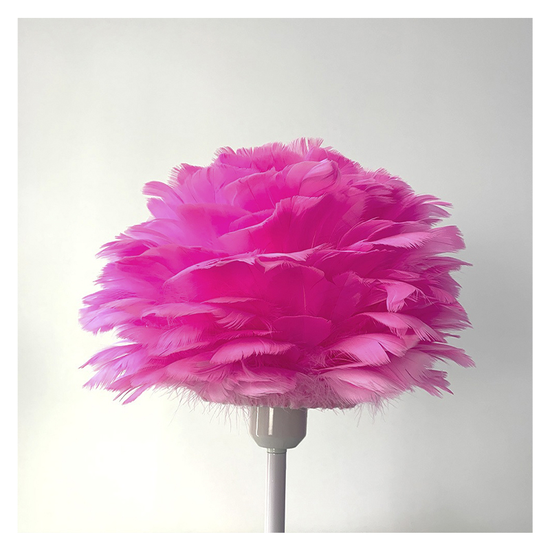 Настільний світильник з розовим пір'ям large popup