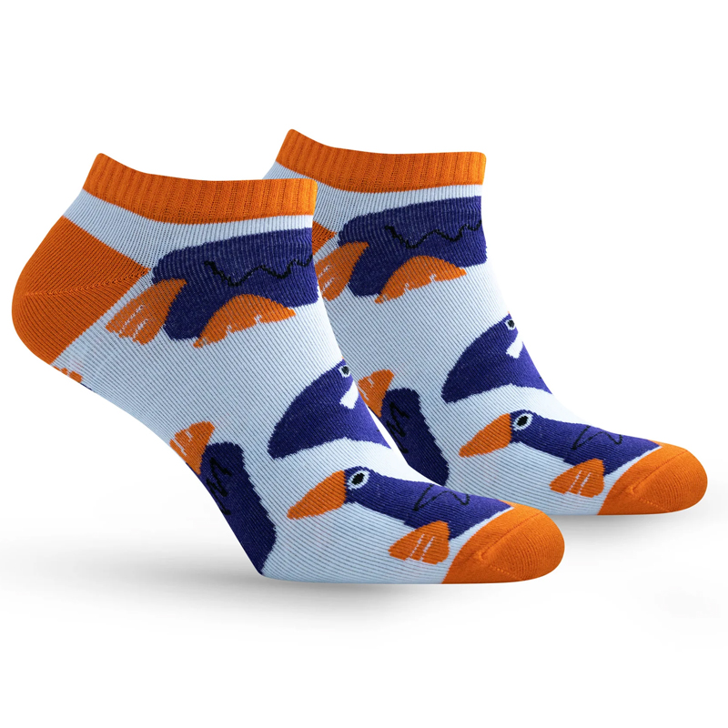 Шкарпетки PremierSocks унісекс,Баклан, р.36-39 (559) large popup