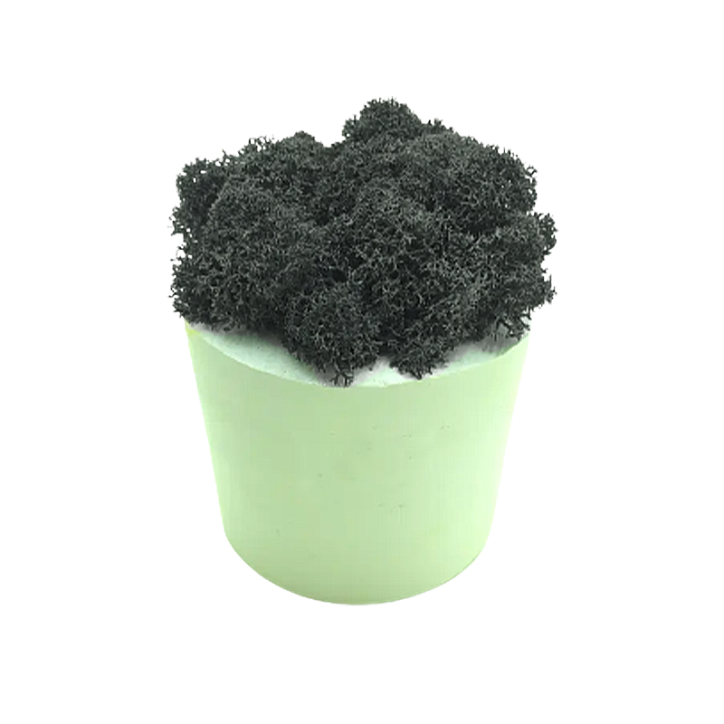 Стабілізований мох SO Green Соу Грін в горщику з гіпсу, чорний large popup