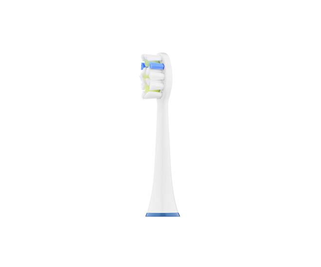 Насадка Ardesto TBH-21W для зубних електрощіток, біла - 14866 large popup