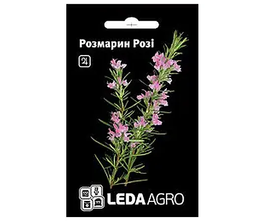 Насіння Розмарин Рози ТМ LEDAAGRO 0,03г 