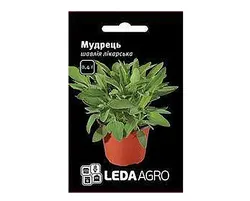 Насіння Шавлія лікарський МудрецьТМ LEDAAGRO 0,4г 