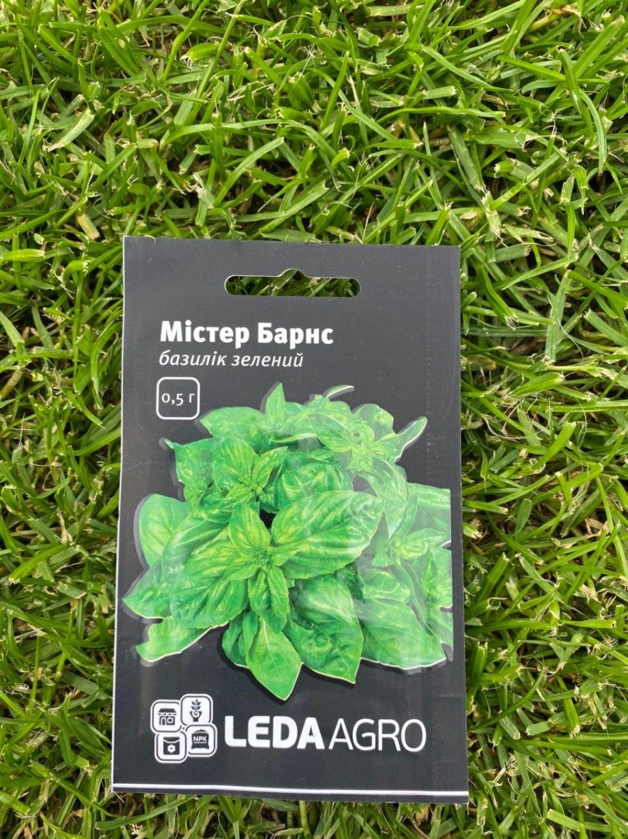 Насіння Базилік зелений Містер Барнс, ТМ LEDAAGRO 0,5г large popup