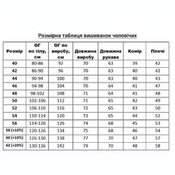 Чоловіча вишита сорочка Liko, ручна робота, біла з чорним орнаментом, р.52 (L1/L24) thumbnail