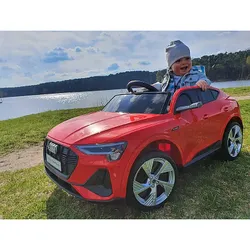 Дитячий автомобіль AUDI E-TRON 4X4 Red  QLS-6688 (QLS-6688) thumbnail