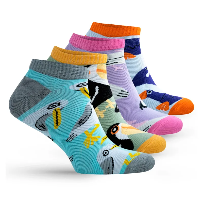 Набір шкарпеток Premier Socks унісекс Веселі Птахи, р.36-39